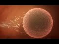 n�hled 1