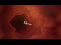 n�hled 2