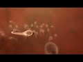 n�hled 3