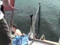 Swiftsure Clallam Sat2100