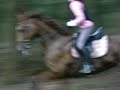 Miss sundance cross training1