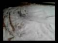 videos de E-MAXX