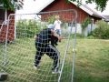 Boss Battles Season 1 ( Robbson Bossen Bobbo Billman )