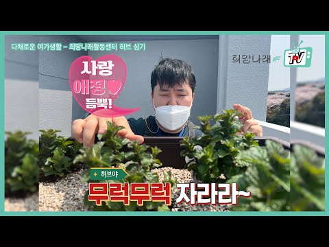 [희망나래TV] 다채로운 여가생활 - 원예의 즐거움, 녹색의 치유력 (원예치료 활동) # 3
