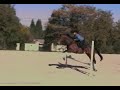 Toledo Jumping a Line