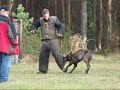 KNPV- PHV Moed en Durf KNPV- PHV Moed en Durf