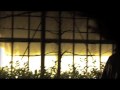 opening titles   van god los  godforsaken! 