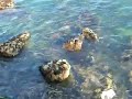 Imatges de Xixon - Platja de San Lorenzo i Cimadevilla