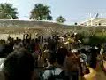 Apollon pansifi party wet