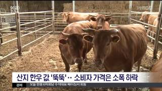 뉴스투데이