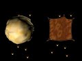 Cellula Animale Vs Cellula Vegetale