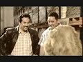 CUY MAGICO SI DA PLATA - LO MEJOR CUY MAGICO SI DA PLATA - LO MEJOR