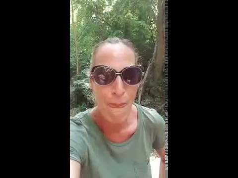 תאילנד יומן מסע פרק 1