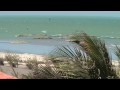 Kite Brazil