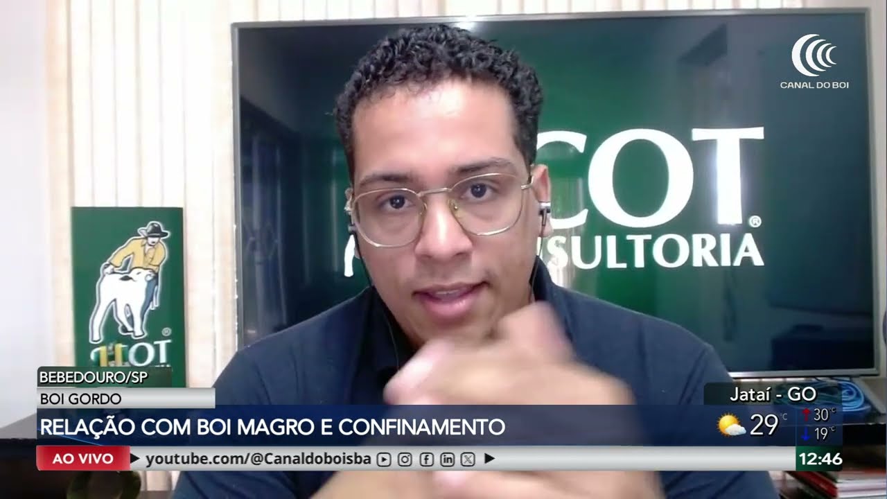 Margem do confinamento é favorável para o mercado do boi gordo