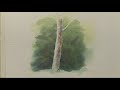 Click here to watch this video DVD - Trees, Woodlands & Forests in Watercolour with Geoff Kersey