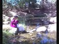 This song is a traditional korean style song that was the theme of a very popular korean TV series called 