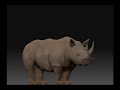 Rhino 3d modeling Rhino 3d modeling