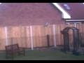 pigeons-hayton-retford.html