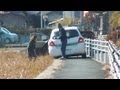 OOOPS!! In a Japanese Rice Field!