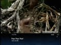 IPTV on your Xbox 360 IPTV on your Xbox 360