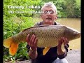 Carp fishing lake Devon - Creedy Lakes Carp fishing lake Devon - Creedy Lakes