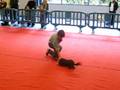 videos de Coraline et Benko - la Beaujoire 2008 - oberythmee