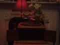 Flamin' Mamie, Coon-Sanders Original Nighthawk Orchestra