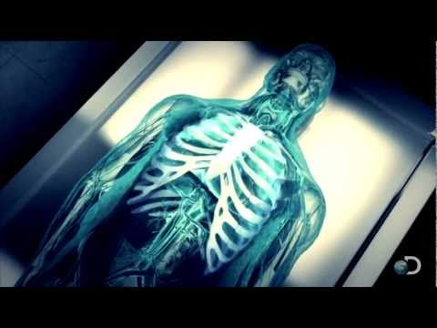 Mummification - CURIOSITY continues Sundays at 9/8c on Discovery. | http://dsc.discovery.com/tv-shows/curiosity#mkcpgn=ytdsc1 | Tune in as scientists begin mummifying a huma...