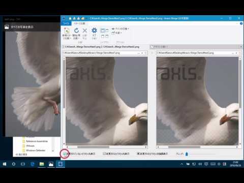 Araxis Merge 変更点を分かりやすく表示できるイメージ比較機能