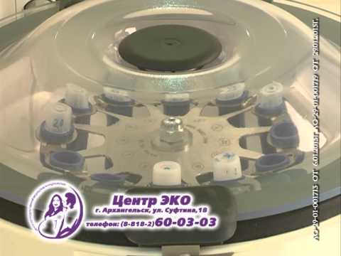 Видео: Центр ЭКО в Архангельске