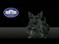 videos de Simon Kennedy Voice Over Artist