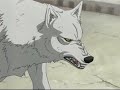 Wolf\