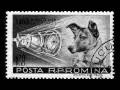 videos de Blipp! Laika