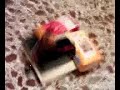 Prototipo de robot RABOTRON