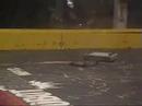 motorama 2008, 3lb match.