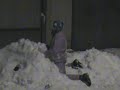 Eu sunt Iulik Retardata cu Oana Curva,suntem surori :))  nu uitatzi eu il iubesc pe Slash mult de tot :X:X:X:X