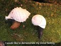 To Homeless / Bezdomovcom