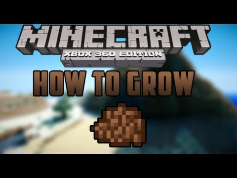 how to grow cocoa beans in minecraft