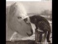Animais Engra�ados / Funny animals