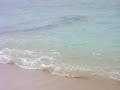 Waikiki Waves Waikiki Waves