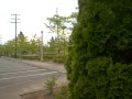 730-bird-attack.html