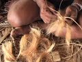 Rope making 3
