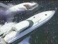 paranormal creatures part 4 ( albino )