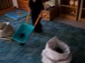 videos de MŠ Maluchy- děti rybka soutěže II.