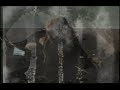 Inswarm- Imminent