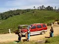 India, Munar, tea plantations 4