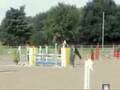 Phestus und Philipp A-Zeit Springen Gut Langfort 2008