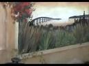 San Diego Mural in the Making