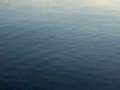 videos de Loon Chasing Luer